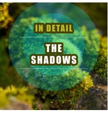 The Shadows - In Detail