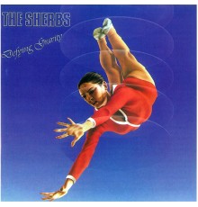 The Sherbs - Defying Gravity