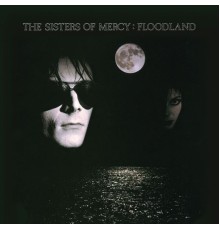 The Sisters Of Mercy - Floodland