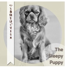 The Sleepy Puppy - 心と身体をほぐすBGM