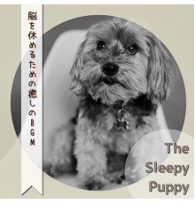 The Sleepy Puppy - 脳を休めるための癒しのBGM