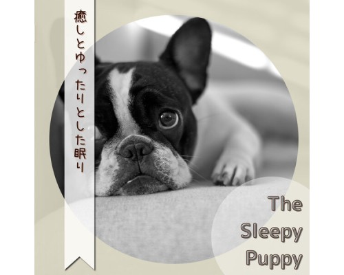 The Sleepy Puppy - 癒しとゆったりとした眠り