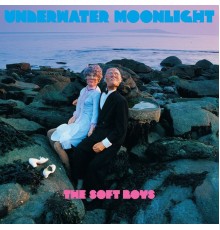 The Soft Boys - Underwater Moonlight