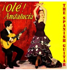 The Spanish Guitar - Flamenco School, Olé Andalucía!