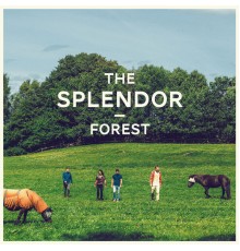 The Splendor - Forest