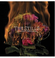 The Stills - Without Feathers