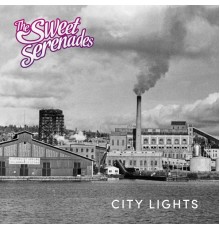 The Sweet Serenades - City Lights