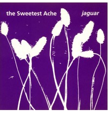 The Sweetest Ache - Jaguar (The Sweetest Ache)