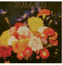 The Teardrop Explodes - Wilder