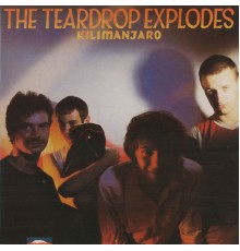 The Teardrop Explodes - Kilimanjaro