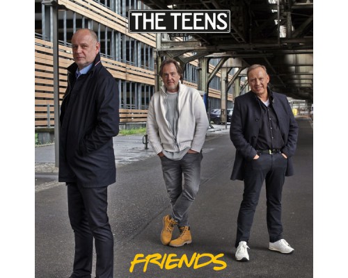 The Teens - Friends