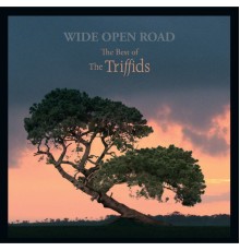 The Triffids - Wide Open Road: The Best Of The Triffids (The Triffids)