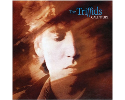 The Triffids - Calenture