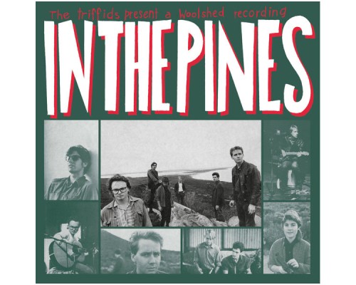 The Triffids - In the Pines