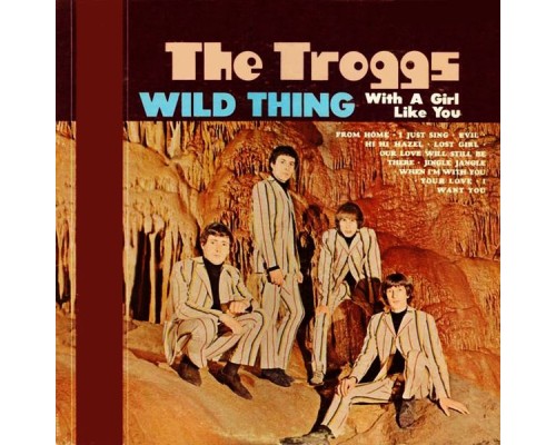 The Troggs - Wild Thing