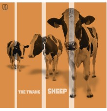 The Twang - Sheep