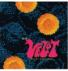 The Veldt - Marigolds