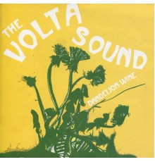 The Volta Sound - Dandelion Wine