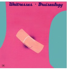 The Waitresses - Bruiseology (Expanded Edition)