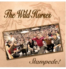 The Wild Horses - Stampede