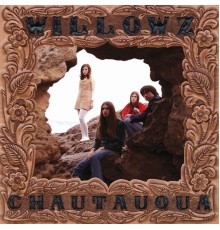 The Willowz - Chautauqua