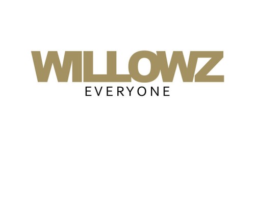 The Willowz - Everyone