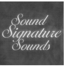 Theo Parrish - Sound Signature Sounds