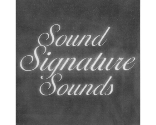 Theo Parrish - Sound Signature Sounds