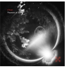 Theorem of joy - L'hiver