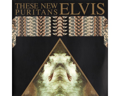 These New Puritans - Elvis