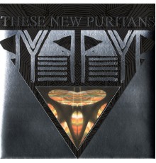 These New Puritans - Beat Pyramid