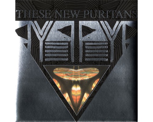 These New Puritans - Beat Pyramid