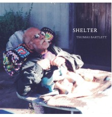 Thomas Bartlett - Shelter