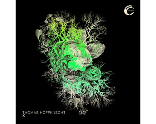 Thomas Hoffknecht - X (Original Mix)