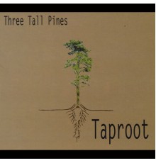 Three Tall Pines - Taproot