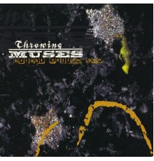 Throwing Muses - Bright Yellow Gun