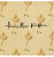 Throwing Muses - Red Heaven