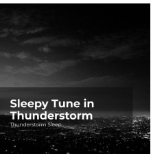 Thunderstorm Sleep, Thunderstorm, Thunder Storms & Rain Sounds - Sleepy Tune in Thunderstorm