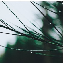 Thunderstorm Sound Bank, Filip Szyszkowski - Rain Sounds & Brown Noise & Water ASMR for Relax, Sleep and Rest [Loopable, No Fade]