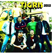 Tiger - 2012