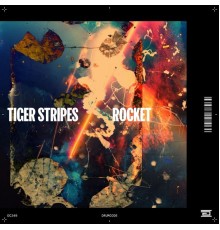 Tiger Stripes - Rocket