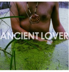 Tigercity - Ancient Lover