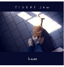 Tigers Jaw - Hum