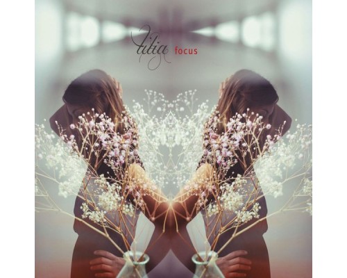 Tilia - Focus