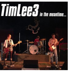 TimLee3 - in the meantime...