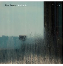 Tim Berne - Snakeoil