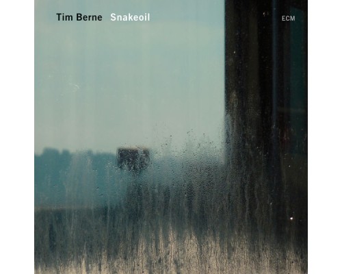 Tim Berne - Snakeoil