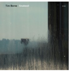 Tim Berne - Snakeoil