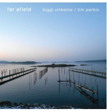 Tim Perkis - Far Afield