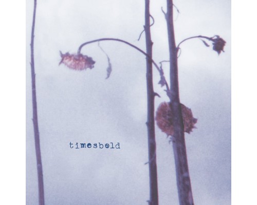 Timesbold - Timesbold